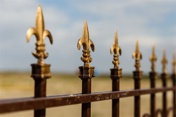 wrought iron fence with gold